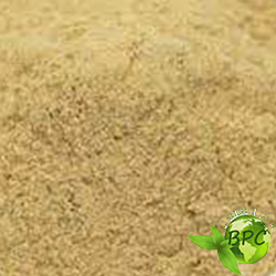 BLACK RADISH POWDER BLACK RADISH POWDER